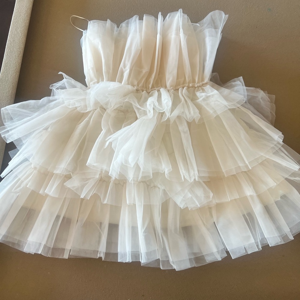 I Accidentally Ordered Two ! Use Steam To Make It… - image 1